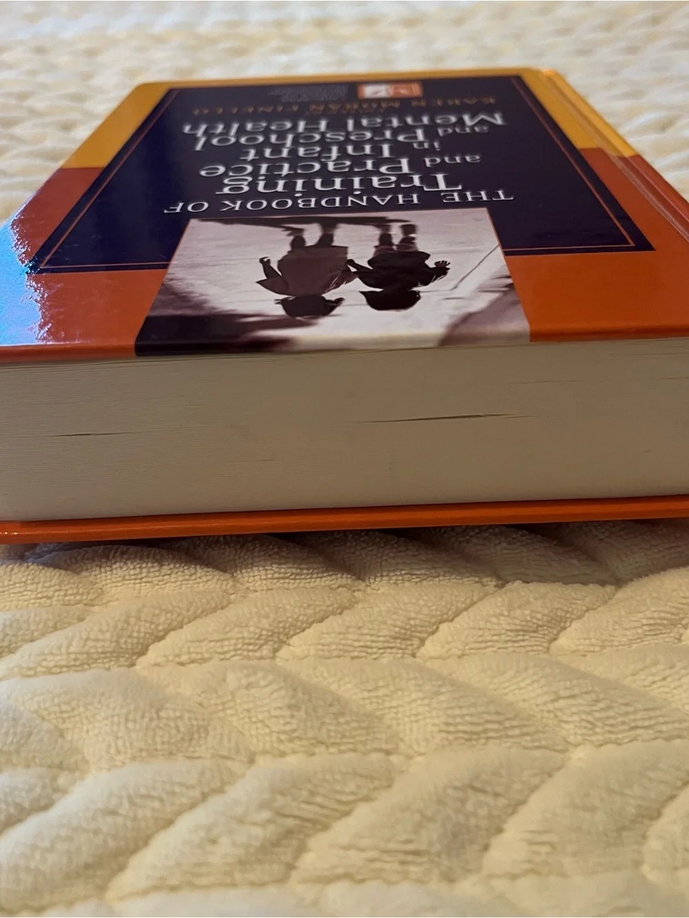 The handbook of Training and Practice Infant And Preschool Mental Health Hard